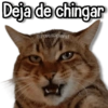 بطل هبل