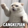Cutest Cat (2) (nj653xgwhv)