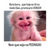 Memes (8tnvycrkbg)
