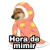 ✨ Cheems Memes 😎🤠 (dvz9p76cx4)