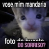 فقط كلام فارغ