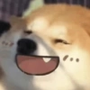 Cute Dog 🐶 (275sgyf4bh)