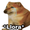 ✨ Cheems Memes 😎🤠 (3jgcdtknh6)