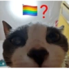 هل أنت مثلي؟ (qdbmvfzc4n)