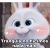 💫 Snowball rebelde ❣️ (gkj7rf3y6t)