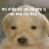 🔴 Cuando No Quieres Hablar 🔴 (8p573tdjyh)