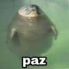 Memes pa' hablar XD 2 (4gcm582n7y)
