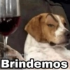 Memes pa' hablar XD 2 (wkpxh3mbz9)