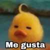 Memes pa' hablar XD 2 (gwv4bmyrzq)