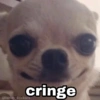 Memes pa' hablar XD 2 (kjvswr9yf7)