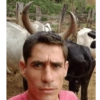 ملك الماشية 👑🐂 (txwcmzpfqd)