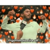 قوالب تامل 130 (ngbty4d425)