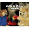 قوالب تامل 130 (t7sj8qkvzr)