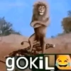 Singa Gokil 😹