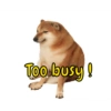 Dogesh