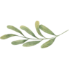 رحلة الزهور 🌸🌱 (vc3csz3p3b)
