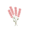 رحلة الزهور 🌸🌱 (b8rtcj89g9)