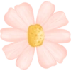رحلة الزهور 🌸🌱 (vrpp5dj3rp)