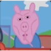 تحفيز وميمز برازيلية (tgccttwxyt)