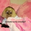 Tengo Chisme 5