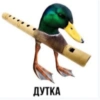 ميمز سكام (7242c4hb4q)