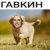 ميمز سكام
