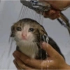 مزاجي سيئ