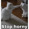 Mememeow