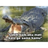 تماسيح مغازلة