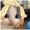 أنت وأنا القطط