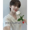 K-pop Love