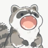 Racoon 2