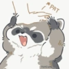 Racoon 2