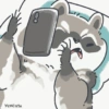 Racoon 2