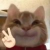 ميمز ويبوس